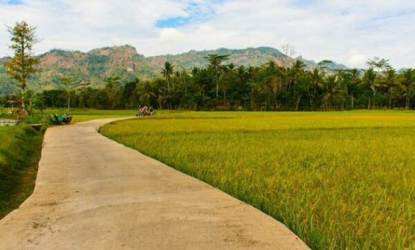 55 Tempat Wisata di Magelang Yang Wajib Dikunjungi