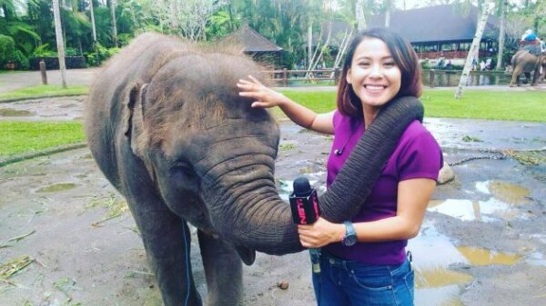 Elephant Safari Park Bali