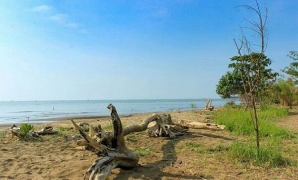 Ragam Keindahan dan Kisah Pantai Glagah Wangi di Pesisir Demak, Berapa Harga Tiket Masuknya?