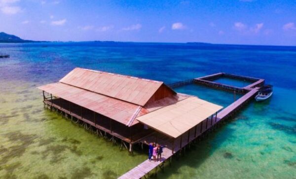 Penginapan di karimunjawa 2021 yang murah harga pulau terbaik tarif apung ac diatas laut wisma backpacker bagus biaya daftar gambar hiu homestay sewa dekat pantai karimun jawa info indah jepara kepulauan lumbung paling paket rekomendasi sekitar tengah terapung tempat termurah unik wisata