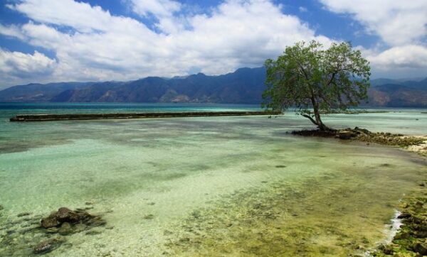 10 Referensi Pantai di Daerah NTT Yang Kecantikannya Tak Tertandingi, Cocok Untuk Liburan Saat Weekend