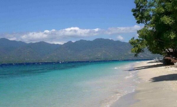 Pantai di pasuruan kota penunggul lekok wilayah terindah baru indah paling pasir putih daftar bangil wisata jawa timur kabupaten jatim terbaru dari probolinggo dekat hotel anyer area yang ada yg bagus blandongan bentar biru bahak dan daerah terdekat malang dengan eksotis grati oke google pinggir indonesia kab klayar kesek kisik kukup lokasi mangrove spot mancing nguling nama obyek objek pandaan pltg pandawa punggul pesisir panggung tempat rejoso sekitar saigon tlocor terbaik tersembunyi terbagus utara