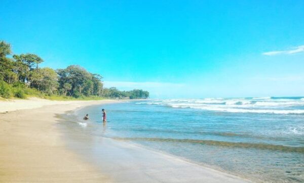 Pantai di tasikmalaya wisata cipatujah cikalong sekitar kabupaten terdekat terbaik lokasi sindangkerta paling bagus jawa barat yang ada yg terindah terkenal bubujung indah batu karas berada cimanuk ciheras penginapan daerah oke google 46189 pamayangsari indonesia karang tawulan krisik kirisik karapyak madasari mangrove nama objek pamayang pangandaran pamijahan paving poponcol selatan santolo tanjungkerta tersembunyi paus terdampar west java