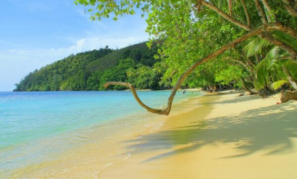 Pantai di papua raja ampat nugini barat yang menjadi salah satu dari 10 wisata menyelam terbaik dunia yaitu terkenal dan maluku brainly new guinea nama timika amai ada yg rendah biak pulau terindah bosnik cantik daerah sorong daftar foto gambar gunung harlem hamadi holtekamp hol indah jayapura jember kepulauan kaimana korem keindahan keren laut love pengeboran lepas minyak maf macam nabire nama2 objek pink ria dataran sinokisi serui serebro selatan sebutkan sungai tablanusu triton tercantik tts terbesar utara tempat terdapat