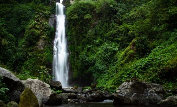 6 Rekomendasi Wisata Air Terjun Paling Keren Daerah Probolinggo Yang Cantik Ini Asyik Buat Disinggahi