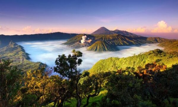 10 Daftar Paket Tour And Travel di Malang, Mulai Dari 250 Ribuan