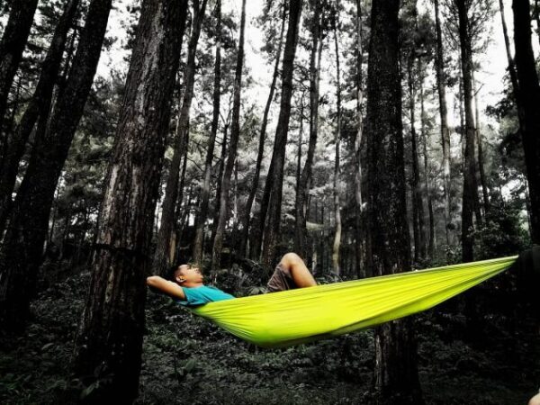 Usir Penatmu Dengan Berkemah di Taman Nasional Halimun Salak Sukabumi