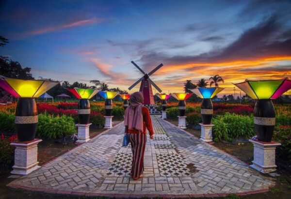 Cantiknya Taman Ramadanu, Kebun Bunga Celosia Hits di Magelang