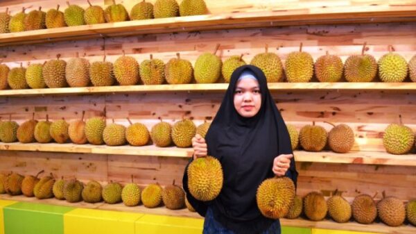 10 Kedai Durian Paling Top dan Terkenal di Medan