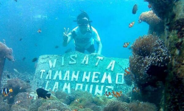 10 Referensi Taman Paling Cantik Daerah Bandar Lampung, Salah Satunya Bisa Lihat Ikan Nemo Loh!