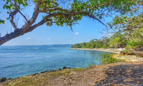 Pantai plengkung g land beach alas purwo banyuwangi jawa timur lokasi wisata hotel mahkota bali malang jalan menuju rute harga tiket masuk alamat letak peta google map youtube kabupaten indonesia misteri artikel foto gambar ombak watu jatim