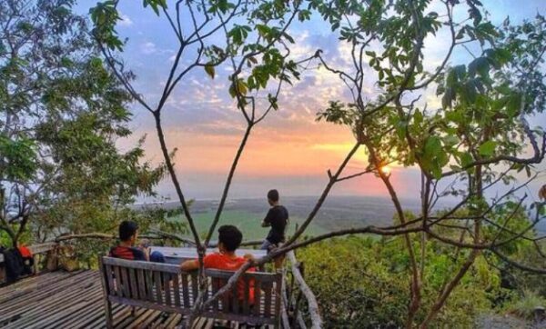 Mau Piknik di Tengah Hutan Jati? Coba Ke Watu Lumbung Bantul