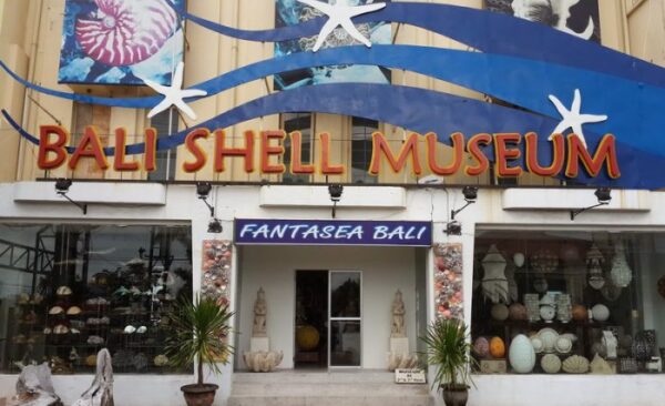 Mengenal Berbagai Jenis Kerang di Bali Shell Museum