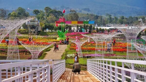 White Marine Park, Spot Foto Instagenic di Bandungan