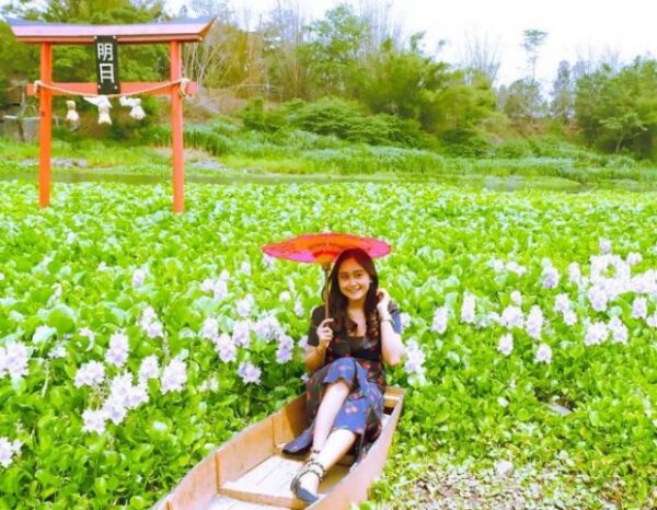 Bak Seperti di Negeri Sakura, Intip Pesona Kalinampu Natural Park Bantul