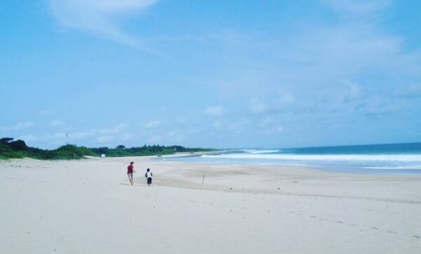 Pantai pangumbahan sukabumi ujung genteng west java penginapan di jawa barat indonesia gunung batu dari bandung lokasi alamat wisata penyu hotel villa gambar jalan ke letak penangkaran pesona taman pesisir peta tiket masuk citirem