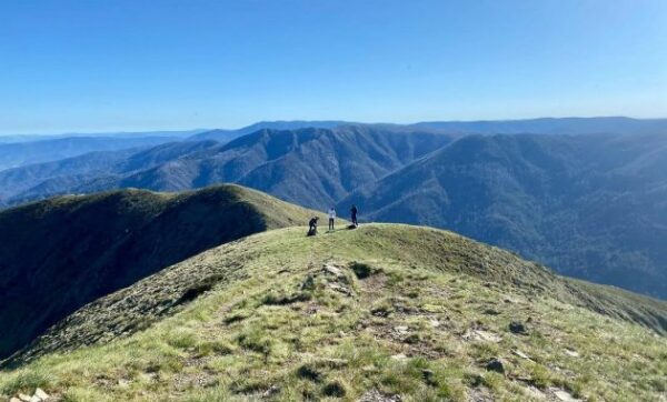 10 Daftar Pilihan Gunung Tertinggi di Australia, Cocok Buat Bermain Ski dan Wajib Kamu Eksplor