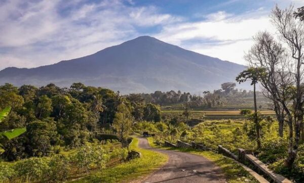 6 Daftar Pilihan Gunung di Daerah Cirebon, Ada Yang Menjadi Tuan Rumah Edelweis