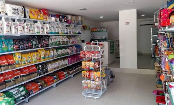 Rekomendasi Petshop di Cempaka Putih dan Sekitarnya