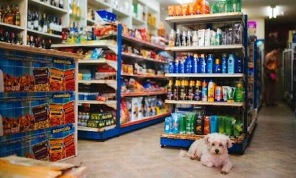 Petshop di padang orin delta murah pet shop kota sumatera barat mutia panjang terdekat luar moo area bulan medan buana city west sumatra terlengkap terbesar anjing grosir jati jessy jawa qiqi midin milenia millenial mima siteba sei sawahan r4 tabing zoe