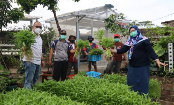 10 Toko Pertanian di Jombang Untuk Mendapatkan Saprotan Berkualitas dan Meningkatkan Hasil Panen